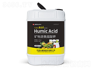 �V��Դ�S�����-�ڄ���-������