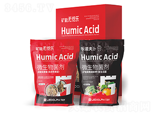 �˾�����΢�������-�V�ܟo����-������