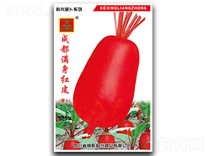 �M���tƤ�}��-�}���N��-���d�N�I(y��)