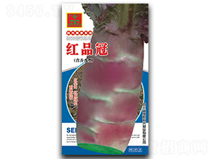 �tƷ��-�n�S�N��-���d�N�I(y��)