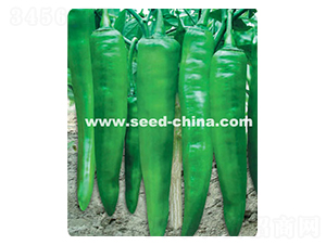 �����L��-�����N��-���·N�I(y��)