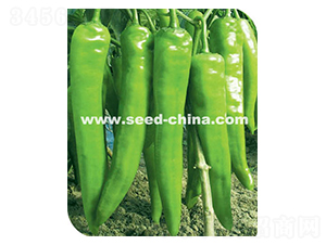 ����505-�����N��-���·N�I(y��)