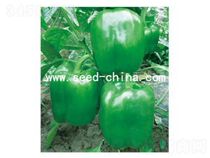 ���109-�����N��-���·N�I(y��)