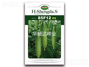 85F12�S��-�S�ϷN��-�Aʢ�_