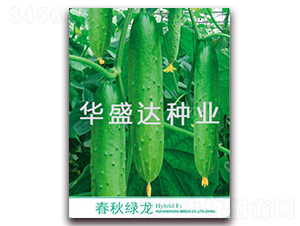 ����G��-�S�ϷN��-�Aʢ�_