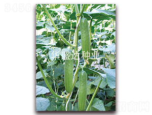 ʢ�_168-�S�ϷN��-�Aʢ�_