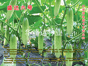 ʢ�_��̖-�S�ϷN��-�Aʢ�_