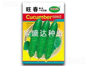 ����-�S�ϷN��-�Aʢ�_