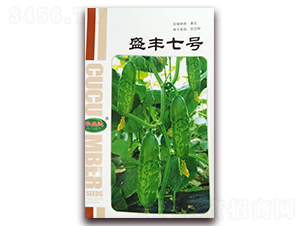 ʢ�S��̖-�S���s���N-�Aʢ�_