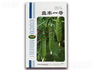 ʢ�Sһ̖-�S�ϷN��-�Aʢ�_