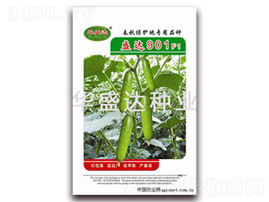 ʢ�_(d��)901F1-�S�ϷN��-�Aʢ�_(d��)