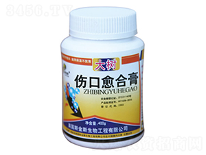 ���������ϸ�-�и�����