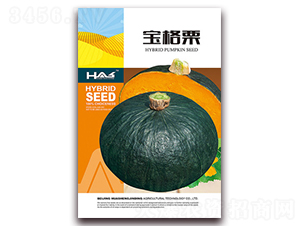 ������-�ϹϷN��-�β���