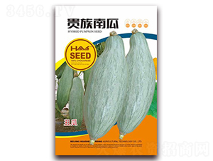 �F���Ϲ�-�ϹϷN��-�β���