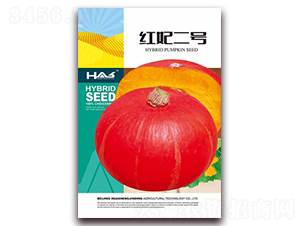 �t����̖-�ϹϷN��-�β���