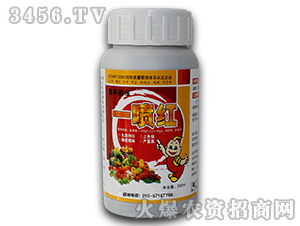 ֲ�����L(zh��ng)�{(di��o)��(ji��)��-һ���t-������˹