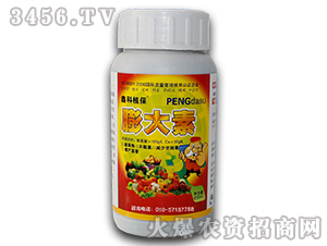 �����-������˹