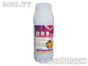 �n����-������˹