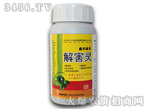 �⺦�`-������˹