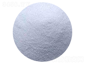 �����-������˹