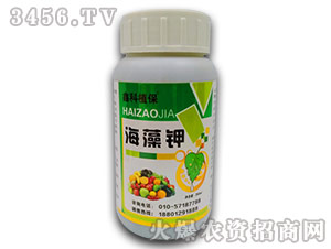 �����-������˹