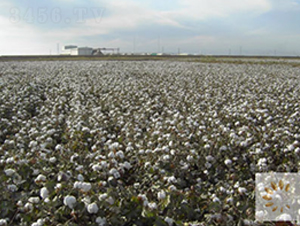 �����67̖-�޻��N��-��ʥ�̷N�I(y��)