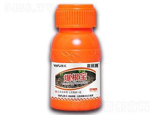 ������-������-�ŷ�