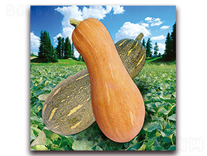 ���r(n��ng)8̖�Ϲϣ�888��-�ϹϷN��-�����r(n��ng)