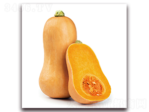 �����r(n��ng)�����Ϲϣ�1249��-�ϹϷN��-�����r(n��ng)