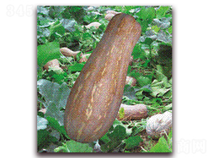 �S���۱��Ϲ�-�ϹϷN��-�����S��