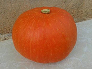 ����t-�ϹϷN��-�����S��