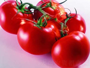 ��ӯһ̖-���ѷN��-�����S��