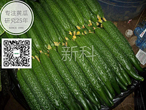 �¿�802-�ܴ��S�ϷN��-�¸ɾ�