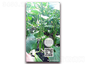 δ����̖(h��o)-�S�ϷN��-�¸ɾ�