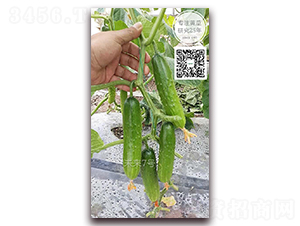 δ����̖(h��o)-�S�ϷN��-�¸ɾ�