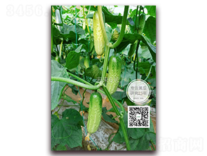 δ����̖(h��o)-�S�ϷN��-�¸ɾ�