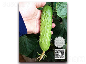 δ��102-�S�ϷN��-�¸ɾ�