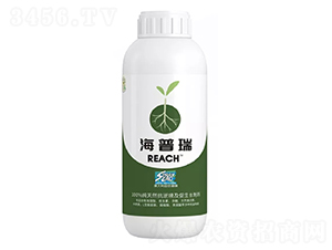 ���澳�������L�Ƅ�-������