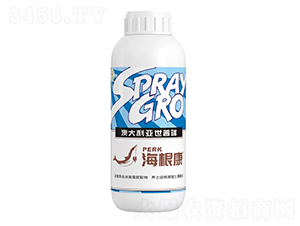 ������-������