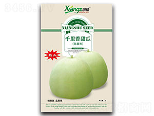 ǧ�������-��ϷN��-���߷N�I(y��)