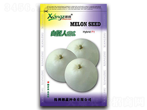 ������-��ϷN��-���߷N�I(y��)