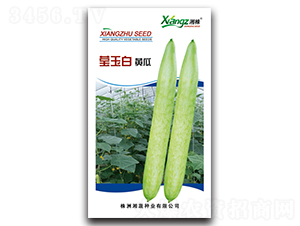 �����-�S�ϷN��-���߷N�I(y��)