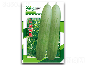 ��ʥ�S��-�S�ϷN��-���߷N�I(y��)