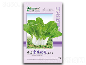 ����õ��-��˷N��-���߷N�I(y��)