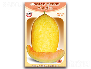 �A���ی�-��ϷN��-���N�I(y��)