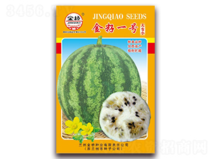 ����һ̖(h��o)-���ϷN��-���N�I(y��)