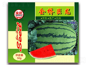 ������-���ϷN��-���N�I(y��)