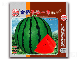 ����翹һ̖-���ϷN��-���N�I(y��)