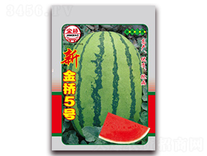 �½��5̖(h��o)-���ϷN��-���N�I(y��)