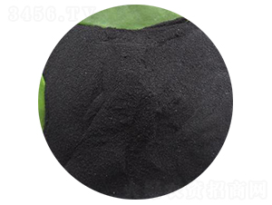 �S��ֲ���-���S����